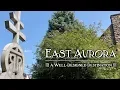 East Aurora A Well Designed Destination