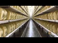 Farm to Table See How our Award Winning Cheese is Made