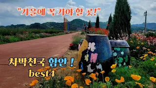 "차박 천국 함안/함안4대명소(입곡저수지,별천계곡,무진정,악양뚝방)/ 야영 명소들이 지금은 어떻게 변했을까 ? #스타랙스캠핑카 #차박여행 썸네일