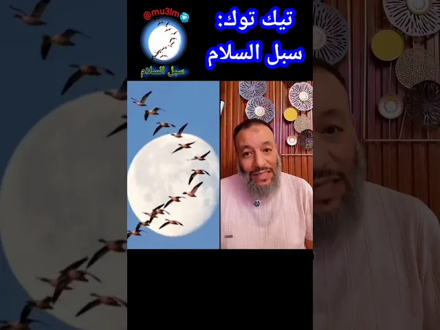 مناظرة وليد اسماعيل في قبضة سبل السلام
