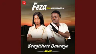 sengithole omunye feat chulumanco m remix 