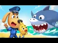 Lagu Hiu Besar 🦈| Harap berhati-hati terhadap hiu saat Anda berada di pantai | Kepala Polisi Labrador