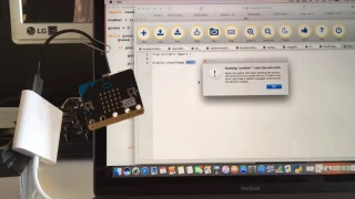 2 MicroBit images