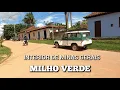 INTERIOR DE MINAS GERAIS MILHO VERDE PASSEIO PELO VILAREJO DE MILHO VERDE MUNICIPIO DE SERRO MG