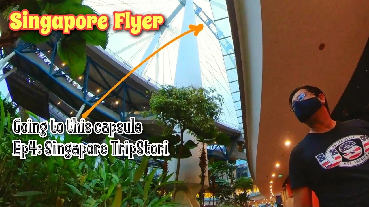 Singapore Flyer | Merlion Park night view | Top Things to do in Singapore TripStori