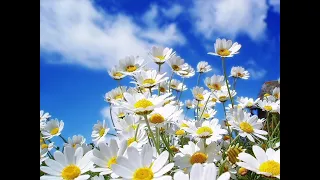 zygga man pasaulis visas tu 2021 