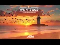📢Wali Hits Vol.3-Asaga (madangoldiesclassic)📢