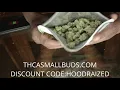 GEORGIA PIE flower strain THCA SMALL BUDS
