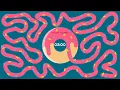 2 Minute Donut Bomb Timer Timer Bomb