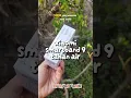 Download Lagu Xiaomi Smartband 9 Active: Ringan Banget! #shortsviral #viralvideo #capcut