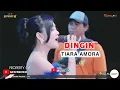 Download Lagu Tiara amora - DINGIN - SIMPATIK MUSIC  MP3