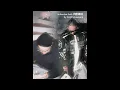E SENS - No Boss (Feat. Dok2) REMIX by brightwheelpark