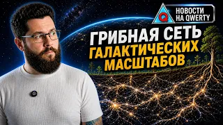 Приправа помогает при вакцинации. Чума была более опасной. AI в лаборатории. Новости QWERTY №381