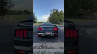 Mustang FordMustang MustangGT MuscleCar AmericanMuscle Shorts YouTubeShorts CarShorts 