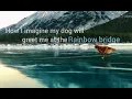 How I imagine my Dog will greet me at the Rainbow bridge