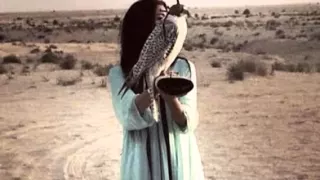 شيله ذكرى محبتك و وصالك عبدالرحمن ال نجم 2015 