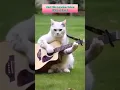 Download Lagu KUCING MAIN GITAR