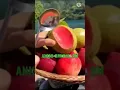 Download Lagu WhatsApp Status 🥰 Mom Ringtone 🥰 #short #interestingfacts #ytshorts #shorts #amazing