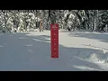 Mt Bachelor - Snow Stake
