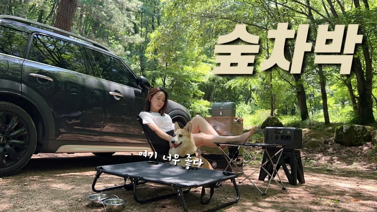 관련 영상 썸네일
