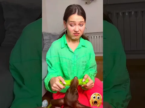 Soni Only Likes Her Female Pet #cat #youtubeshorts #shortsvideo