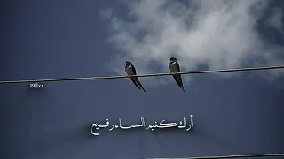 اراك جميل كفصل الربيع  اناشيد اسلاميه  دندنها