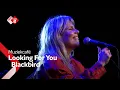 Download Lagu Blackbird - Looking For You | NPO Radio 2