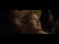 MANDERLAY SWALLOWS ARRIVE