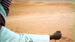 جرح العذاب الفنان حامد محاد دندنها