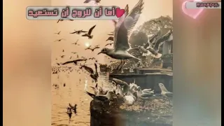 ألسنا أحق بقلب سعيد 