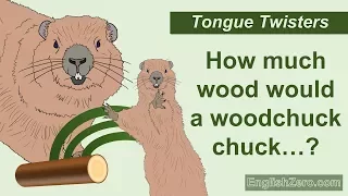 Download Tongue Twister 6- How Much Wood Would a Woodchuck Chuck if a Woodchuck Could Chuck Wood MP3