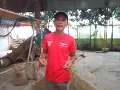 Download Lagu Pencoran bagunan tiang lantai 2