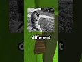 The Haymaker Valley Meme Explained