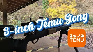 CCI Standard Velocity Meets Temu Reactive Targets The 3 Gong 