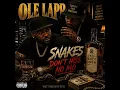 Snakes Don't Hiss No Mo
