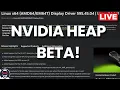 NVIDIA 595 BETA DRIVERS ON LINUX LET S TEST REVIEW