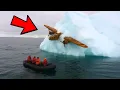 Full Story WW2 Plane Found Frozen in Iceberg What Was Inside Left Everyone in Shock