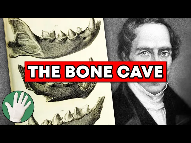 Video: The Bone Cave - Objectivity 305