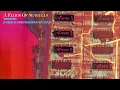 A Flock Of Seagulls - Wishing (I Had A Photograph Of You) - Official Audio