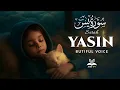 Download Lagu Surah Yaseen (Yasin) سورة يس | Beautiful Quran Recitation for Inner Peace \u0026 Spiritual Healing #yasin