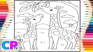 Giraffes Eat of is my