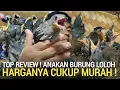 Lagu PASAR BURUNG ! REVIEW TOP ANAKAN BURUNG HARGA CUKUP MURAH DI PASAR BURUNG PRAMUKA HARI INI 
