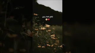 عبدالله ال فروان نغمات رنين 