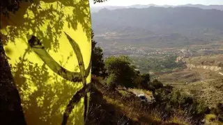 Cheikh Kamel El Guelmi Ya Mesrara 2015 