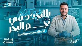 التكاثر بالتجدد في نجم البحر يا 3 ثانوي 2026 الجزء اللي كان المونتاج حذفه بالغلط 