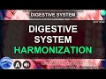 Digestive System Fine-Tuning Repair Soothe Restore Your Digestion Advanced Subliminal