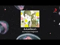 Sara Nussara Pungprasert - ลืมไปหรือเปล่า (Official Lyric Video)