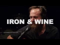 Iron & Wine - Lion's Mane (Live on KEXP)
