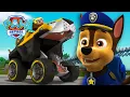 Ryder membutuhkan bantuan dari SEMUA anggota Paw Patrol! 💯🐾 PAW Patrol | Episode Indonesia