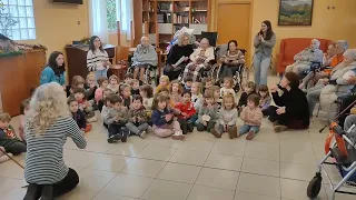 Bideo laburpena